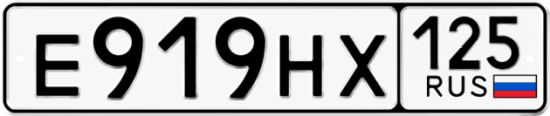 Купить номер на авто Е919НХ 125